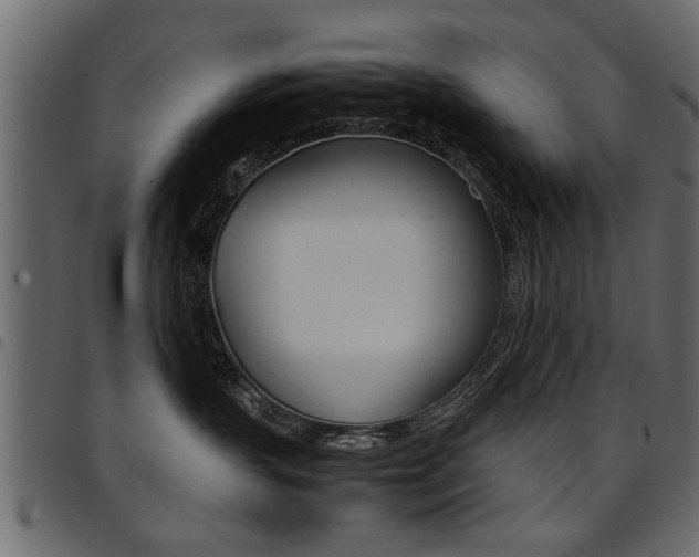 X0000094910383200711291005