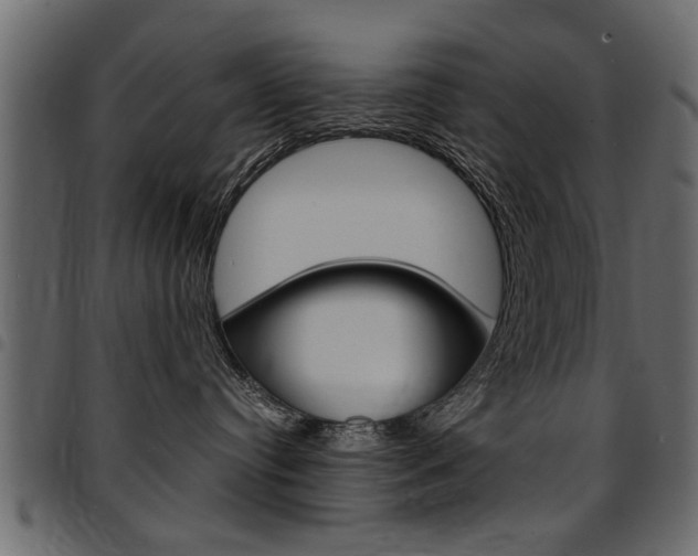 X0000094910384200711291005