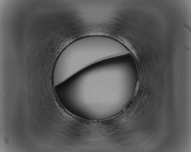 X0000094910385200711291004