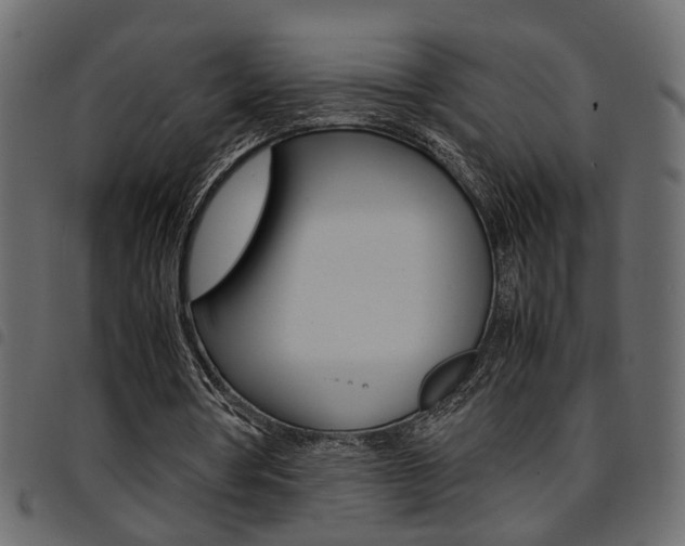 X0000094910386200711291004