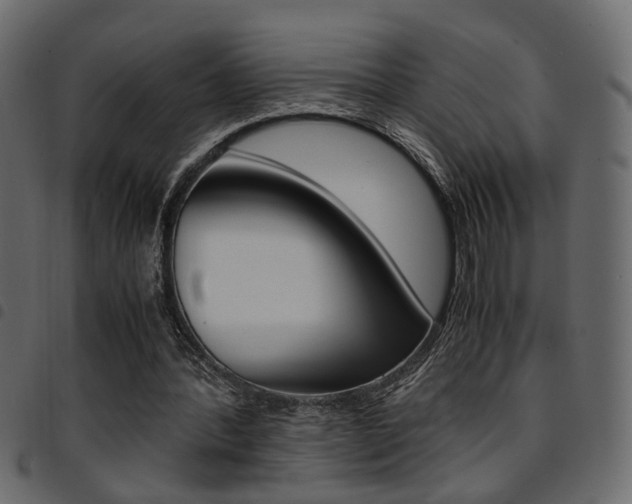X0000094910388200711291004