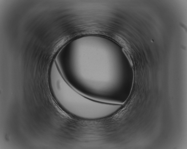 X0000094910389200711291004
