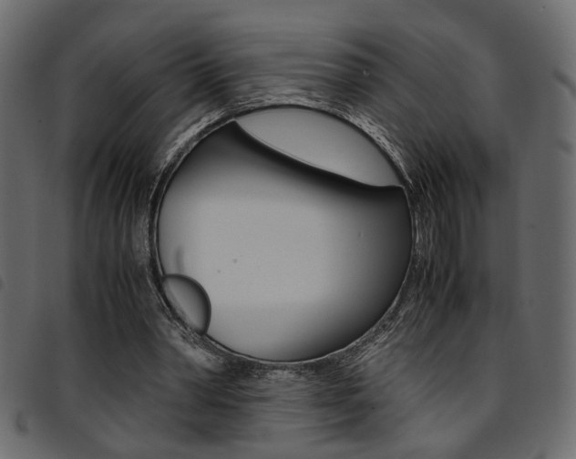 X0000094910390200711291004