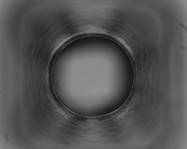 X0000094910391200711291004