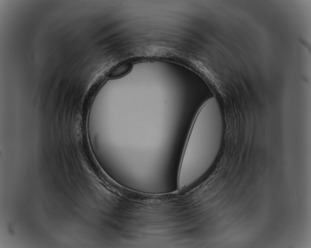 X0000094910392200711291004