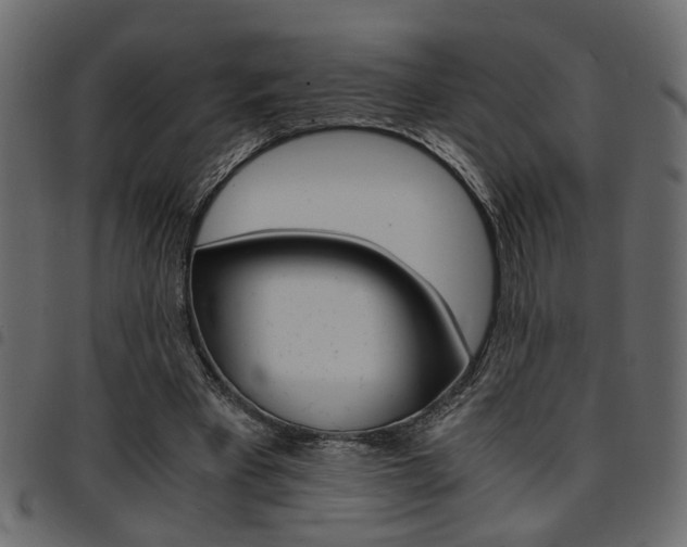 X0000094910393200711291004