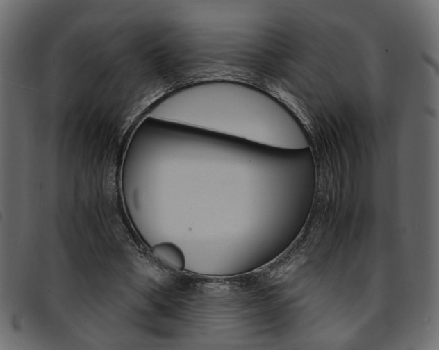 X0000094910394200711291004