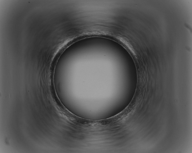 X0000094910395200711291004