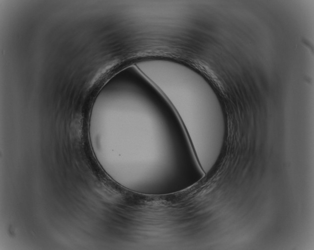 X0000094910396200711291004
