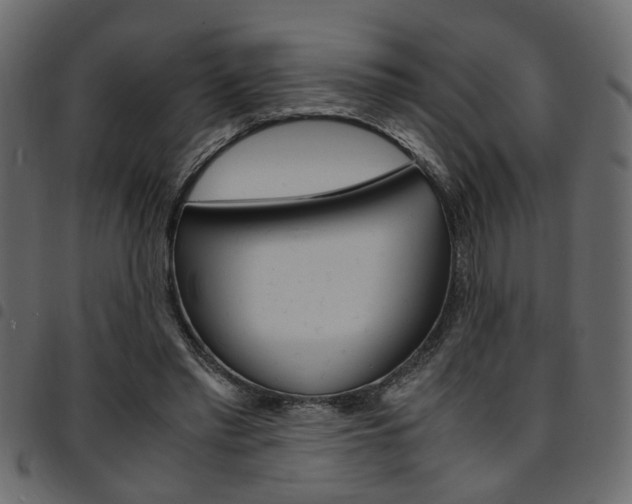 X0000094910397200711291004