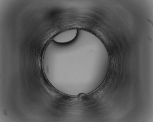 X0000094910398200711291004