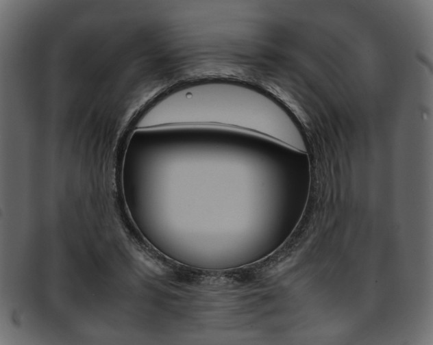 X0000094910399200711291004