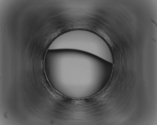 X0000094910401200711291004