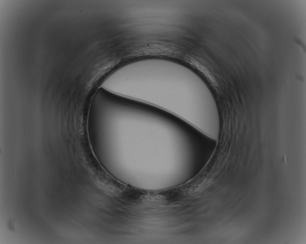 X0000094910403200711291004