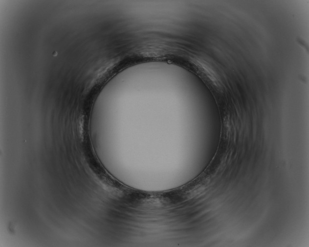 X0000094910404200711291004