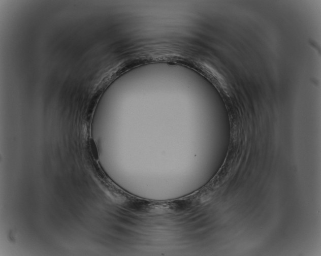 X0000094910405200711291004