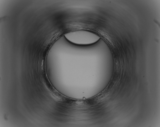 X0000094910406200711291004
