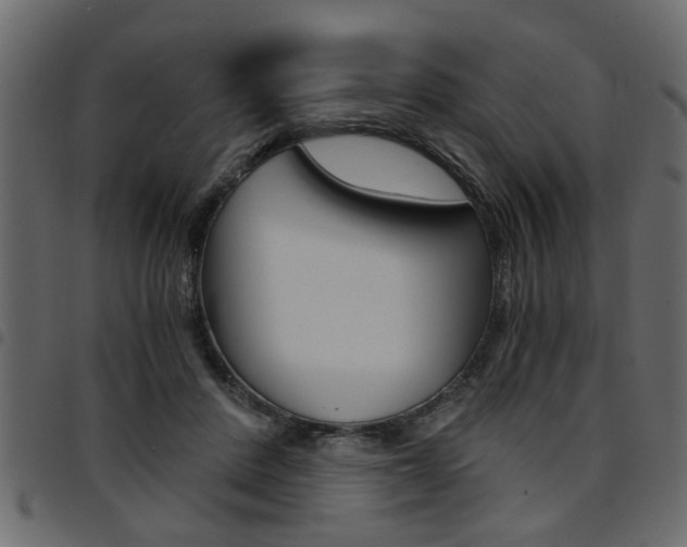 X0000094910408200711291004