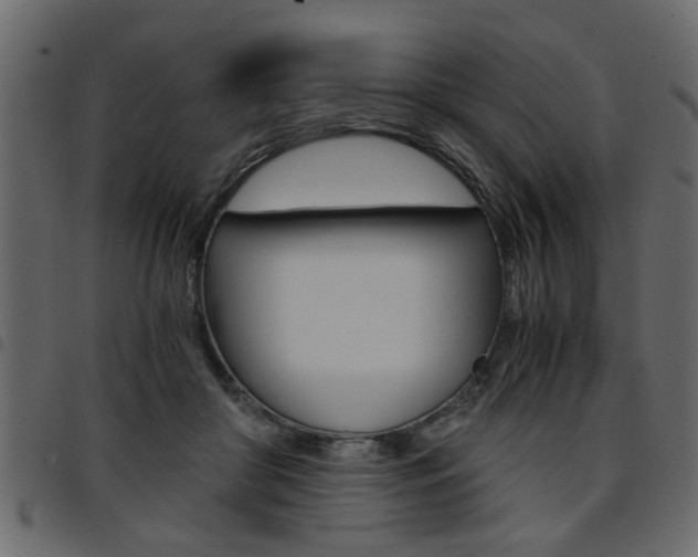 X0000094910410200711291004
