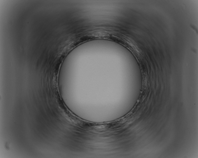 X0000094910411200711291004