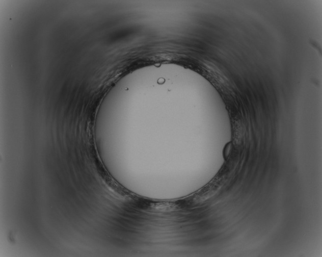 X0000094910414200711291004