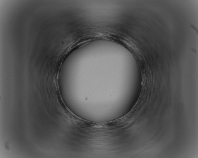 X0000094910415200711291004