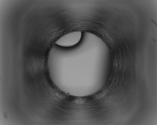 X0000094910416200711291004