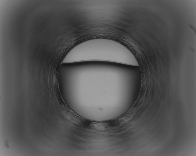 X0000094910417200711291004