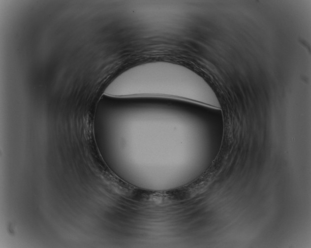 X0000094910420200711291004