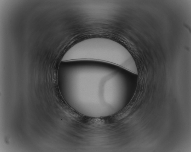 X0000094910421200711291004