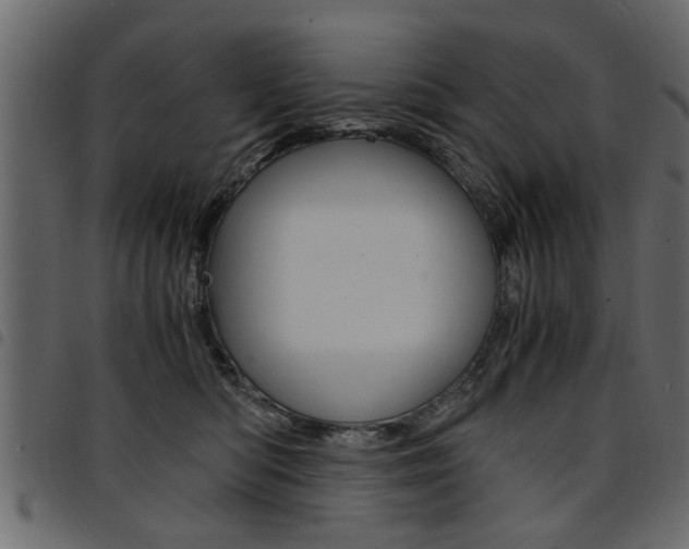 X0000094910422200711291004