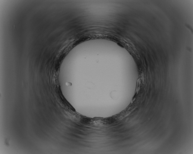 X0000094910423200711291004