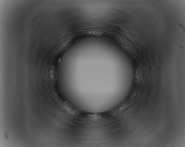 X0000094910424200711291004
