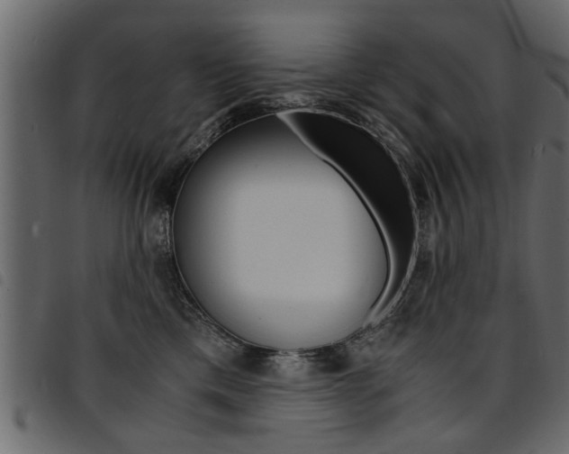 X0000094910425200711291004