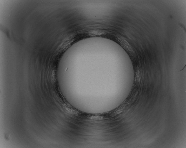 X0000094910426200711291004
