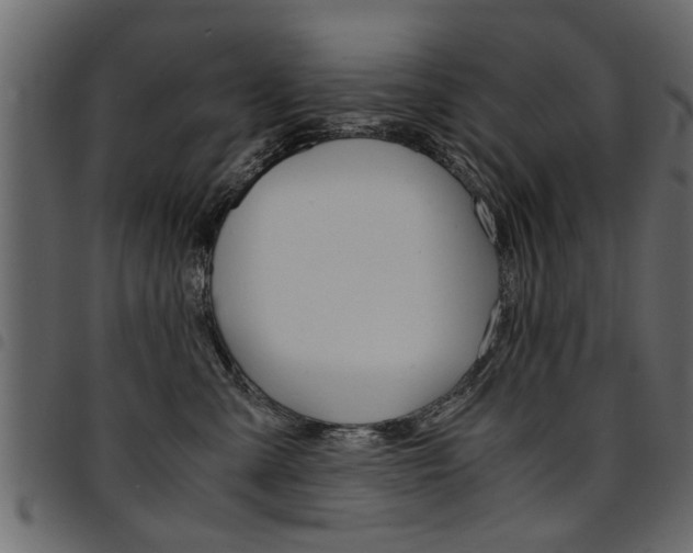 X0000094910427200711291004
