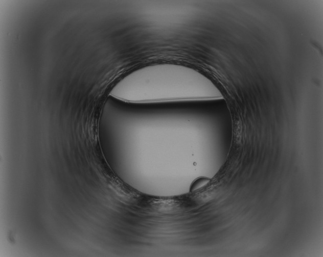 X0000094910428200711291004