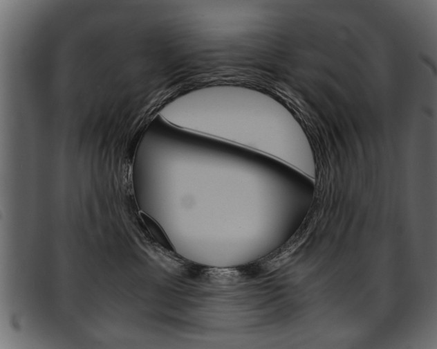 X0000094910429200711291004