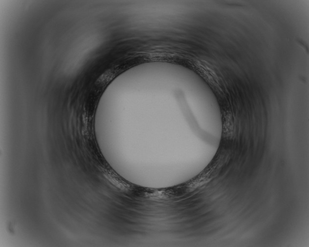 X0000094910430200711291004