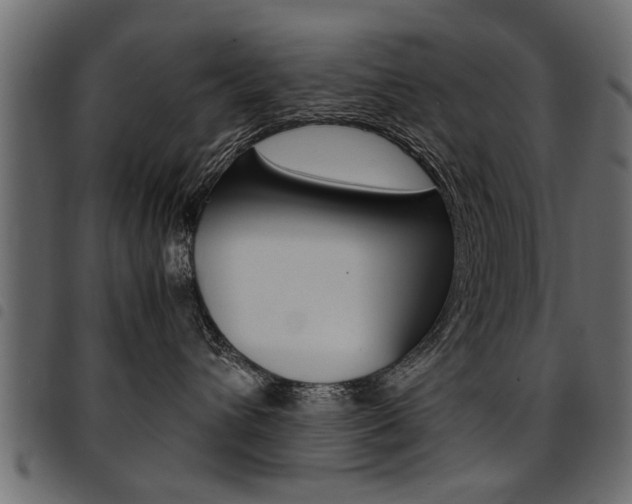 X0000094910432200711291004