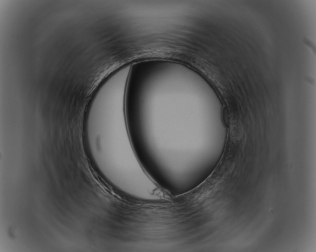 X0000094910434200711291003