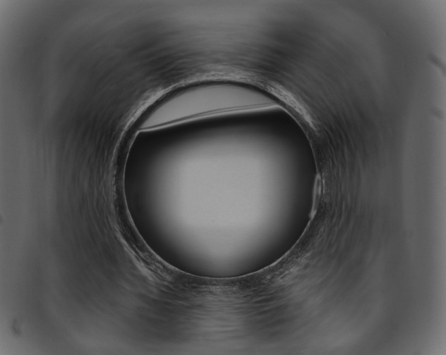 X0000094910436200711291003