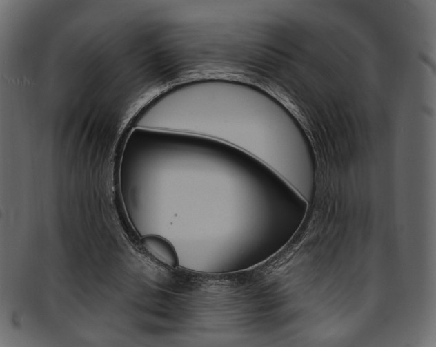 X0000094910438200711291003