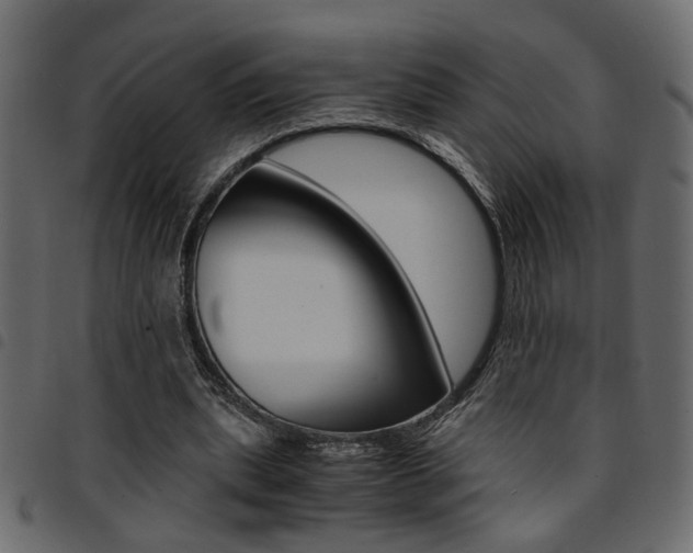 X0000094910439200711291003