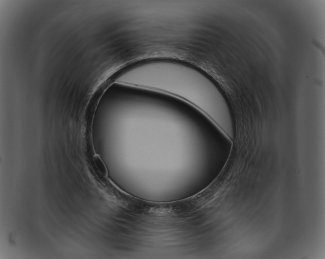 X0000094910440200711291003