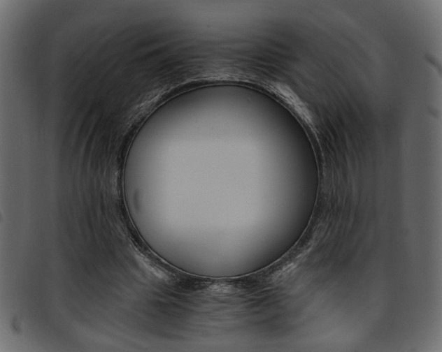 X0000094910441200711291003
