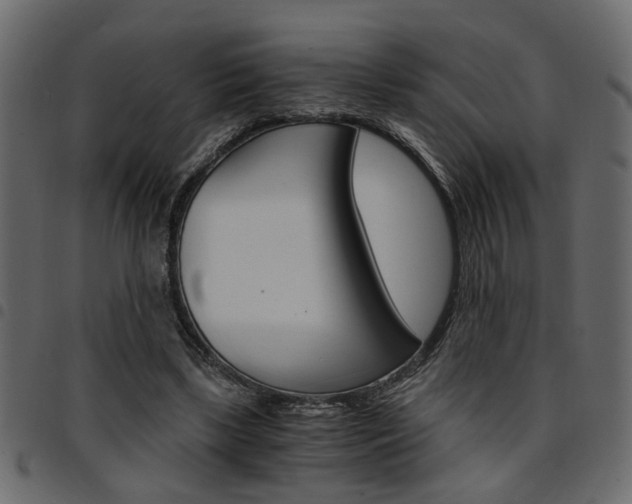 X0000094910443200711291003