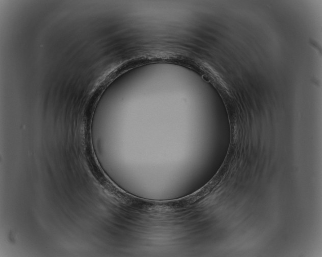 X0000094910444200711291003