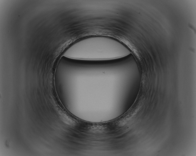 X0000094910445200711291003
