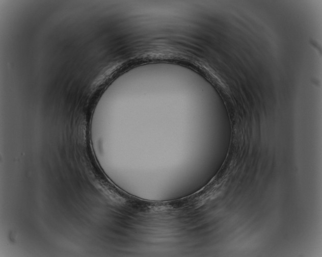X0000094910446200711291003